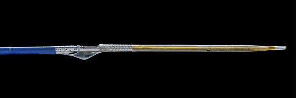 First patient enrolled in IDE study of the Pantheris system for in-stent  restenosis - Vascular News