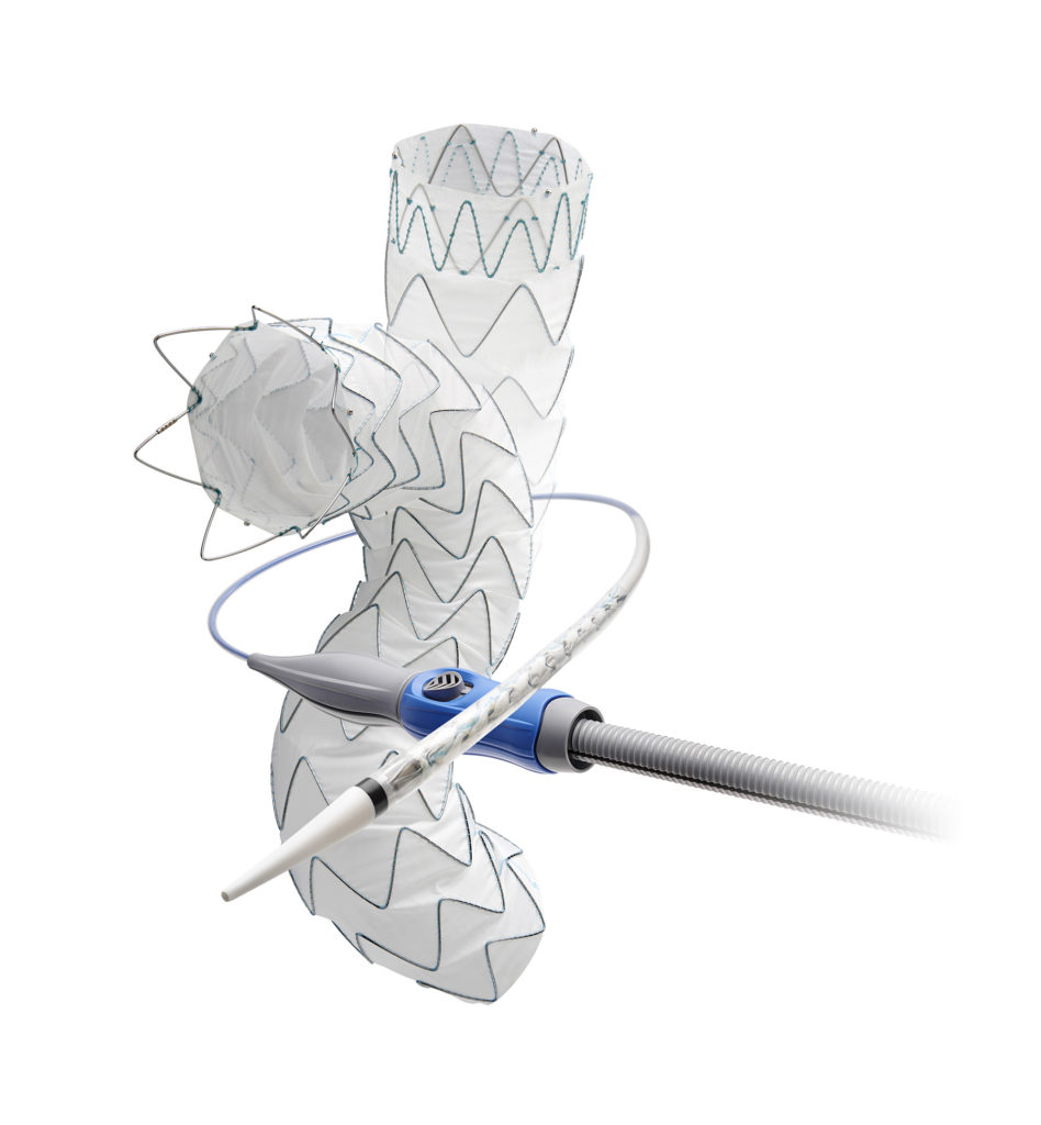 Medtronic Valiant Evo thoracic stent graft system