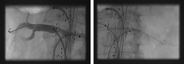 figure3-sh