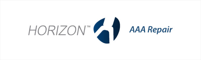 Horizon stent graft receives CE mark