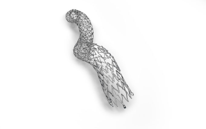 MIMICS-3D registry completes enrolment