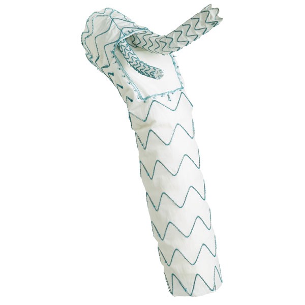 RelayBranch early feasibility study begins enrolment