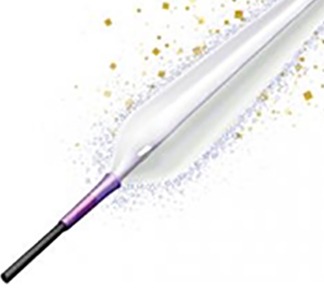 Terumo gets CE mark for Kanshas drug-coated balloon catheter for lower extremities