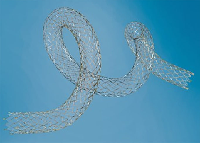 Biotronik introduces the first tri-axial 4F low-profile stent system