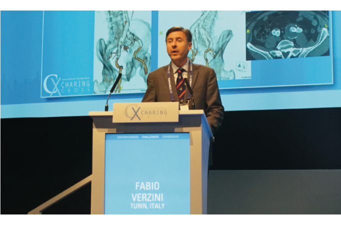 EVAR with an iliac branch endoprothesis is safe and effective