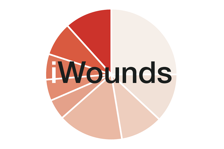 iWounds Workshop debut at CX 2019 - Vascular News