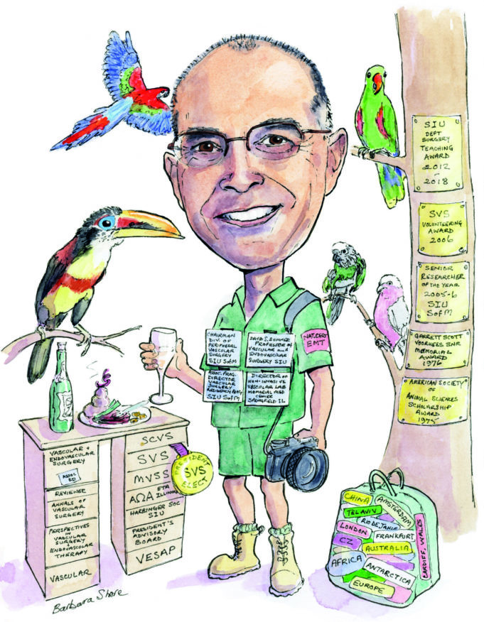 Kim Hodgson Kim Hodgson vascular profile with vascular news