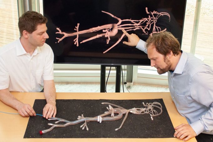 New system for tracking catheters using optical fibres promises easier navigation