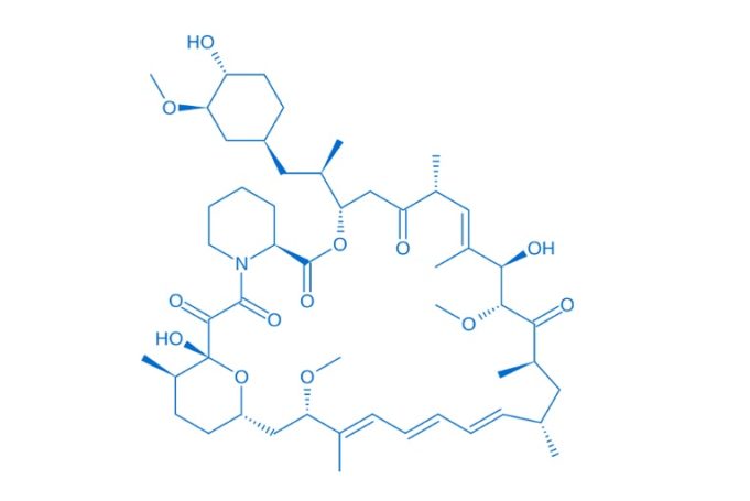 Preliminary MOTIV BTK outcomes positive for bioresorbable scaffold use in below-the-knee lesions Motiv
