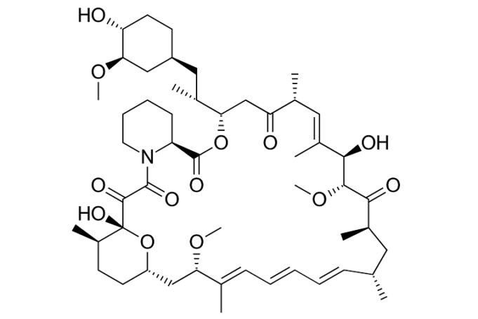 Patient enrolment completed in MedAlliance PRESTIGE BTK clinical trial