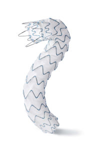 An CroyoLife E-nya thoracic stent graft