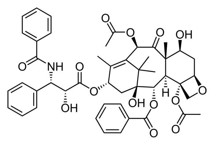 Oral nutritional supplements effective therapeutic option for hard-to-heal wounds, study finds