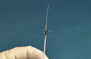 Ablative Solutions announces publication of data from the Peregrine post-market study Peregrine System Ablative Solutions