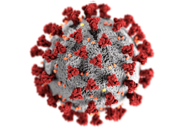 Study lists top sociodemographic factors associated with COVID-19 sociodemographic factors COVID-19