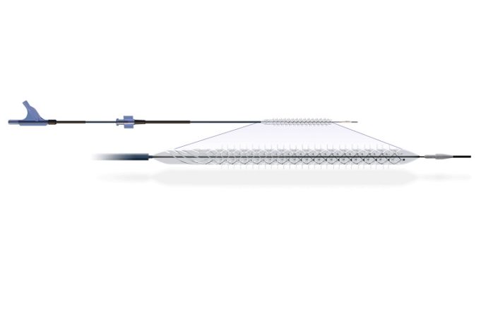 Enrolment begins in DEEPER LIMUS study of Reflow Medical’s Temporary Spur stent system Limus