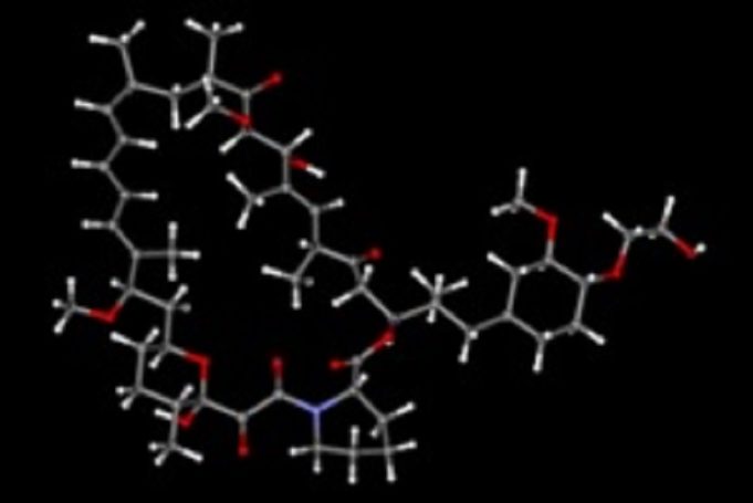 Cardiovascular Systems and Chansu Vascular Technologies partner to develop new everolimus DCBs everolimus