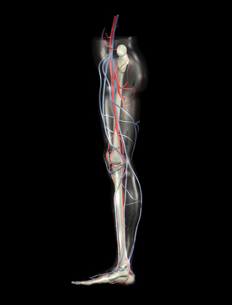 “A reliable tool”: Positive findings for 2D perfusion angiography in ...