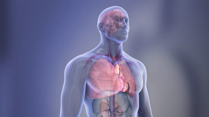 Death due to cardiovascular disease more likely among Black adults born in the USA cardiovascular