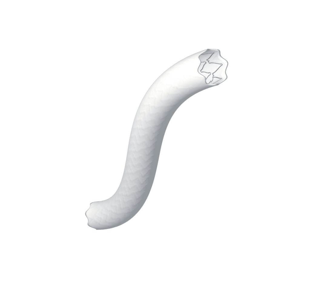 Three-year data bolster use of the BeGraft as a bridging stent in FEVAR