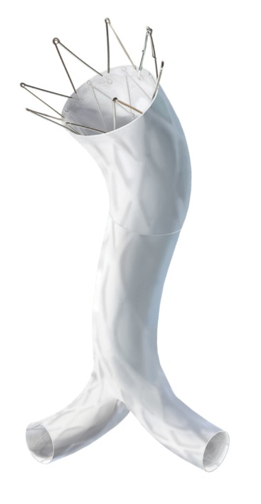 Endologix receives US FDA approval of PMA supplement for AFX2