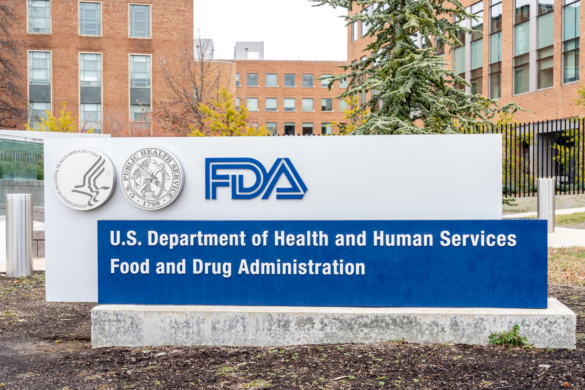 FDA Advisors' Recommendation on Renal Denervation Hinges on