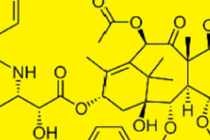 CIRSE supports use of paclitaxel-coated devices in femoropopliteal disease treatment