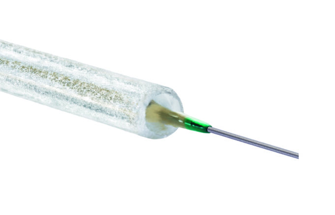 Two-year BIOPACT randomised controlled trial analysis demonstrates “persistent excellence” for low-profile Passeo-18 Lux DCB biopact