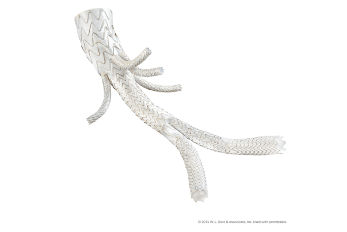 Gore reports first clinical use of TAMBE device in Japan