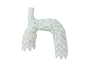 Endospan releases early TRIOMPHE IDE study results at Society of Thoracic Surgeons annual meeting TRIOMPHE