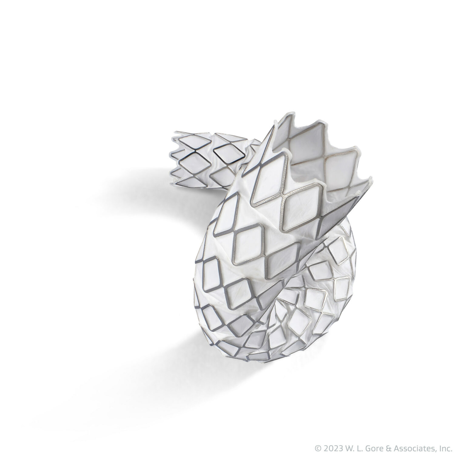 US FDA approves Gore Viabahn VBX balloon-expandable endoprosthesis for ...