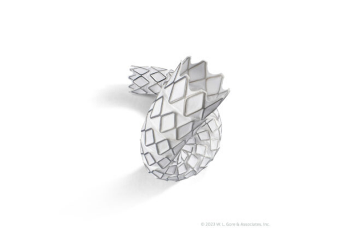 Gore receives CE mark for lower profile Viabahn VBX endoprosthesis