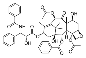 paclitaxel