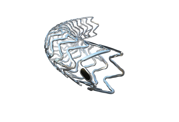 BIOMAG-I two year results confirm safety and efficacy of Biotronik resorbable magnesium scaffold