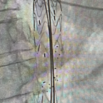 Fenestrated Treo main body deployment