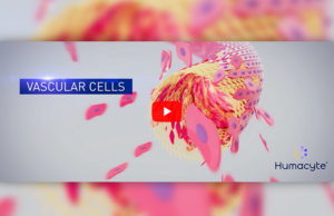 Humacyte pioneers off-the-shelf, universally implantable Acellular Tissue Engineered Vessel (ATEV)