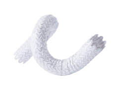 Merit Medical’s Wrapsody WAVE trial demonstrates superior patency versus standard of care in AV fistula patients