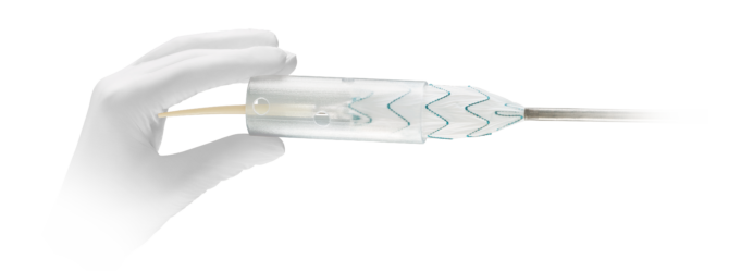 First implants using TREO FIT in USA and Europe announced Terumo Aortic