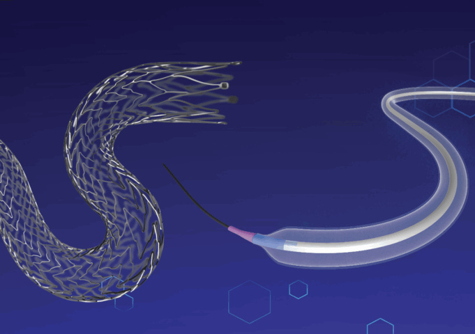 TINTIN trial subanalyses presented at LINC 2025