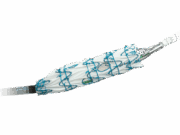 Terumo Aortic announces launch of Fenestrated Treo pivotal IDE study in USA