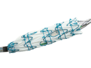 Terumo Aortic announces US FDA Breakthrough Device designation for Fenestrated Treo