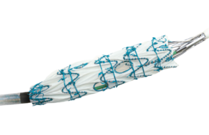 Terumo Aortic announces US FDA Breakthrough Device designation for Fenestrated Treo