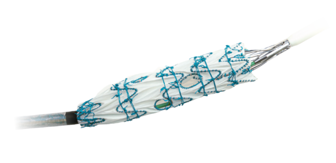 Terumo Aortic announces US FDA Breakthrough Device designation for Fenestrated Treo