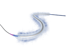 LUMIFOLLOW registry shows sustained three-year performance of Luminor in femoropopliteal disease