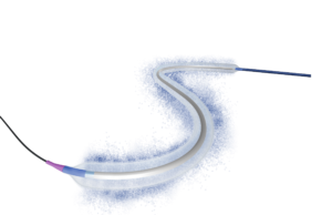 LUMIFOLLOW registry shows sustained three-year performance of Luminor in femoropopliteal disease