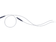 Lessons from two decades of carotid stent use: Implications for today’s practice