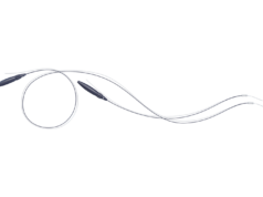 Lessons from two decades of carotid stent use: Implications for today’s practice